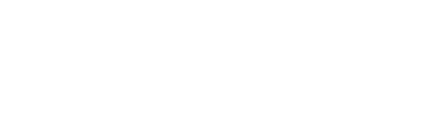 net boru